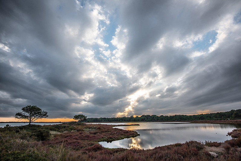 Etang de Vic la Gardiole au coucher du soleil