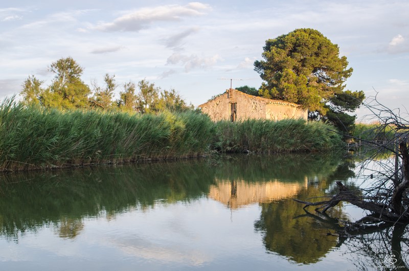 Cabanes de lansargues