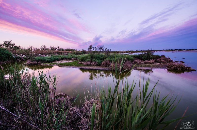 Cabanes de lansargues coucher de soleil rose