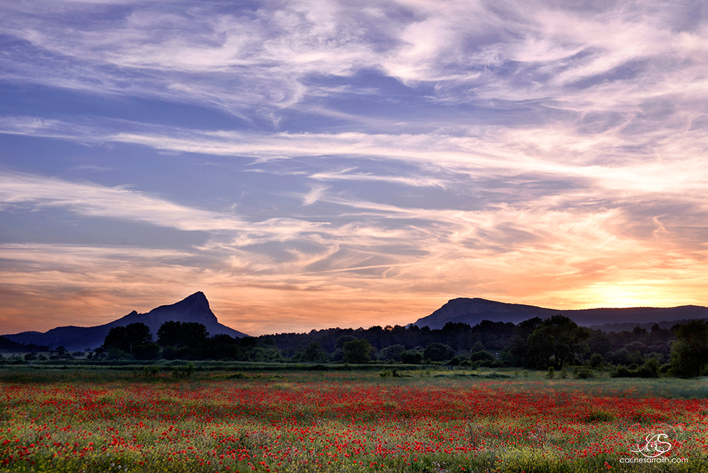 Pic Saint Loup et champs de coquelicots